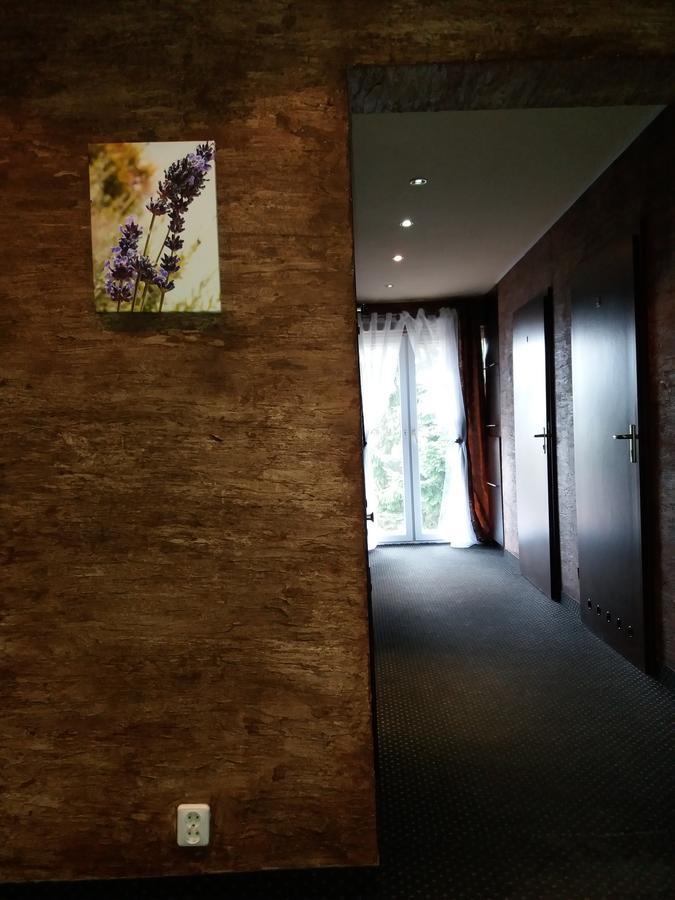 Lawendowy Hostel Krakow Ngoại thất bức ảnh
